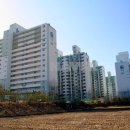 청솔부동산중개사무소 이미지