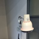 정성모락