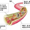 24시 블루밍 동물병원 이미지