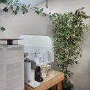 루루호텔 이미지