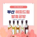 해피드림발효