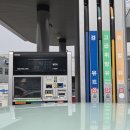 기흥호수공원(생태) | 초보운전 로망 차 몰고 카페가기 (feat. 비보호 유턴 팁)