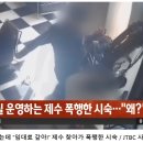 개들의성 이미지