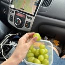 선주사우나 | 강원도 웨딩스냅 - 프르르(구. 고유집) 웨딩스냅 후기 촬영 준비부터 결과까지!