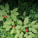 심사숙고 이미지