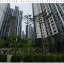 이음초등학교 건너편 이미지