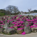 홍주택시 이미지