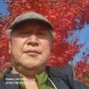 강우량측정 | 여주 세종대왕 영릉을 가면서 과학 천재임을 알다