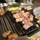 금돼지식당