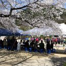 남면초등학교 이미지