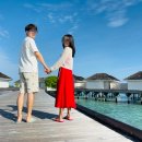 위드아쿠아 | 결혼 1주년 기념 가성비 몰디브 여행 Part.2 칸디마리조트 워터풀빌라(아쿠아빌라 위드 월풀)