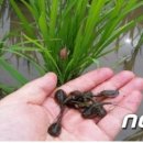 곡성사슴 이미지
