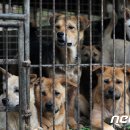 고막농장 이미지