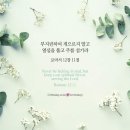 오늘의 '영어성경 사진'(493강) “영적인 열심을 유지하세요”(로마서 12장 11절) 이미지