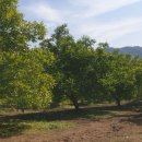 들길농장 이미지