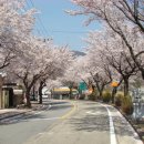 합천농협봉산지점 이미지