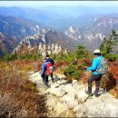 대청밧데리 이미지