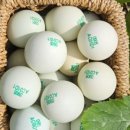 번호골농장 이미지