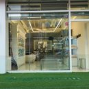 부산강아지분양 알프펫 이미지