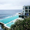 러브키즈&피닉스어학원 | 호주여행 추천 시드니 본다이 비치에서 퍼블릭 BBQ 유학생 감성 되살리기