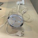 동부순환도로 | 리톱스 &amp; 피쉬본 키우기 + 식물등LED 구매한 후기 (내돈내산)