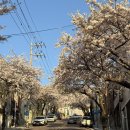 영도 바닷가 이야기 | 부산 영도포차거리 웨이팅 후기 안주 추천🙆‍♂️ [영도 포장마차거리 분위기 음식 리뷰, 화장실 정보, 영도...