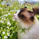 솔빈마루 이미지