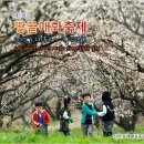 땅끝매실농장 이미지