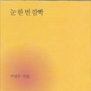 눈 한 번 깜빡 - 이성수 시집 / 북인 이미지