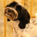 현대파크 이미지