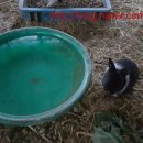 무림농장 이미지