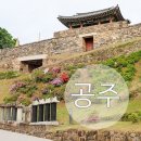 철쭉 끝물이라니! 30대, 공주 공산성에서 예상 못한 시간을 보낸 후기