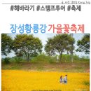 공설운동장-문화로-역동굴다리 | 장성 황룡강 가을꽃축제 해바라기 머리띠 스탬프 투어