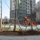 미사강변17단지@ 이미지