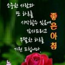 모란 이미지