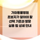 가좌동물병원 | 가좌동물병원 초보자가 알아야 할 선택 기준과 방문 실용 팁 상세 안내