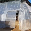 희둘영목장 이미지