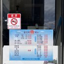 울진회직송 이미지