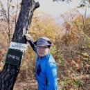 황새울농장 이미지