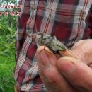 가을농원 이미지