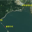 제108차 정기산행 충남 논산 탑정호 출렁다리 이미지