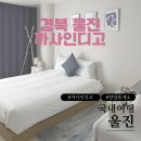 인디고펜션 | 울진여행 :: 망양휴게소 오션뷰 숙소 프리다이빙 스노클링 스팟 까사인디고 내돈내산 후기