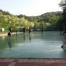 황토별