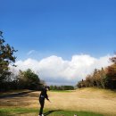 한라산CC(대중형 18홀) | ⛳ 제주 골프여행 스프링데일CC 라운딩 후기