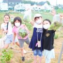 주식회사 화성그린 이미지