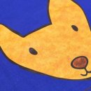 샤인스타트 이미지