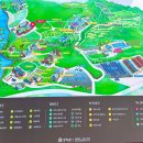 녹차농원 | 광주 근교 아이랑 고창 가볼 만한 곳 상하농원 딸기체험