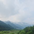 꺼먹머리