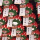 신광사 이미지