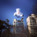스타와 곰돌이 이미지